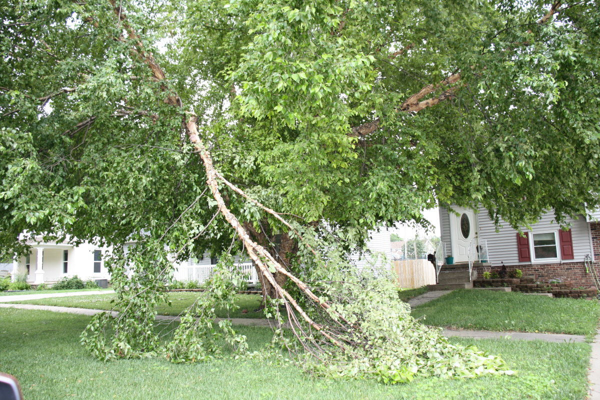 “95 MPH” It Started in Blair Blair, Nebraska News