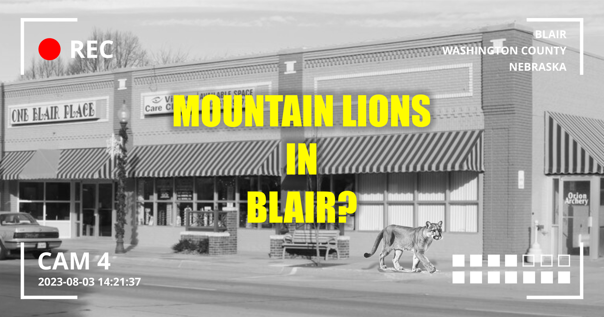 Mountain Lions in Blair Nebraska