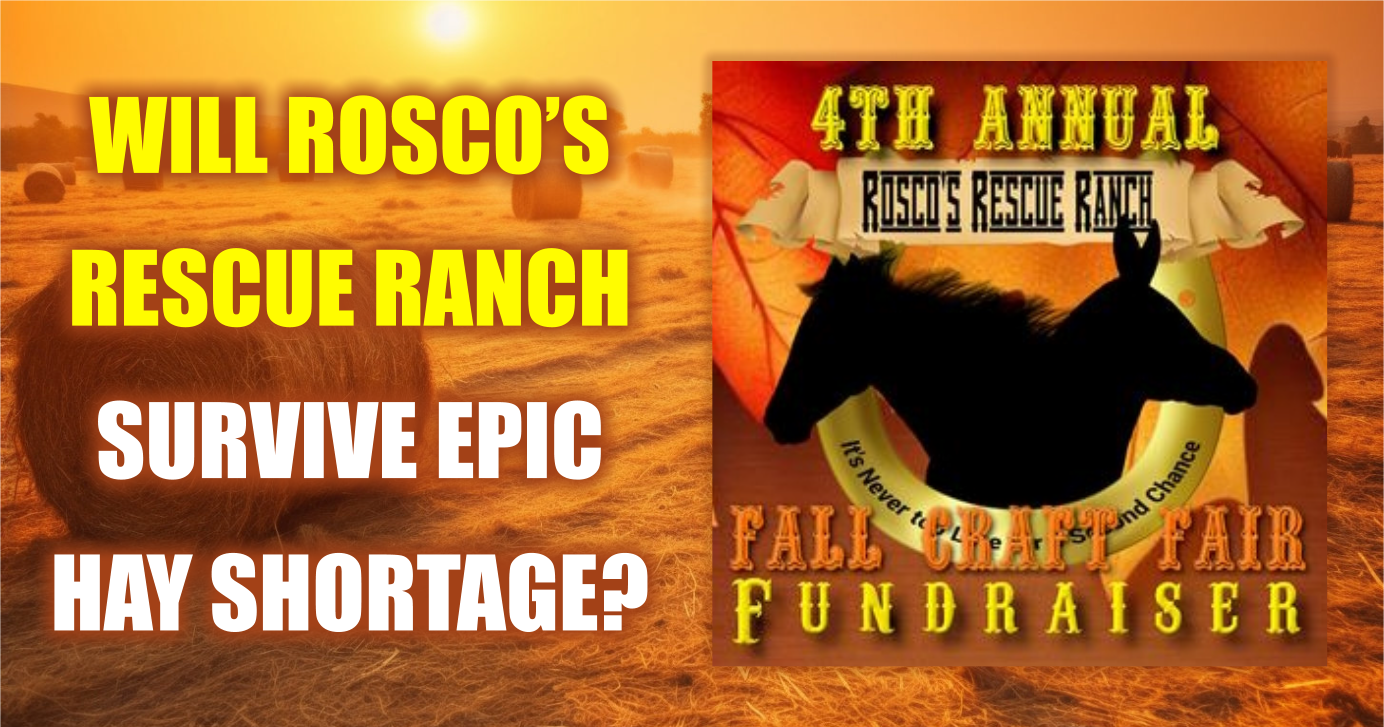 Roscos Rescue Ranch Blair Nebraska